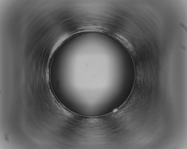 X0000096671188200802191323