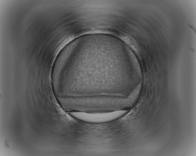 X0000096671189200802191323