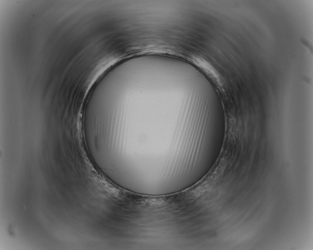 X0000096671190200802191323