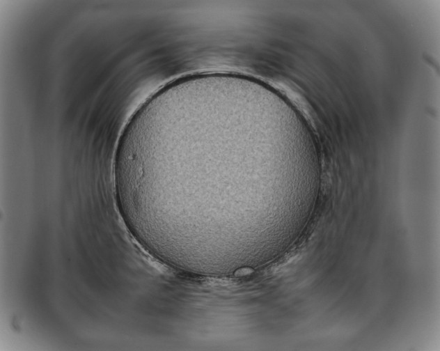 X0000096671191200802191323