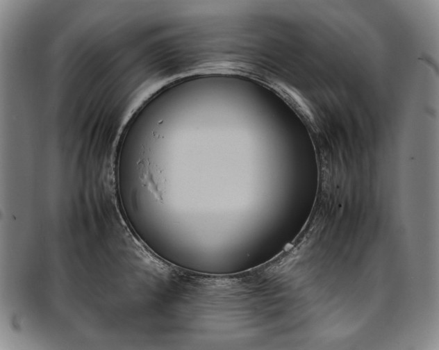X0000096671192200802191323