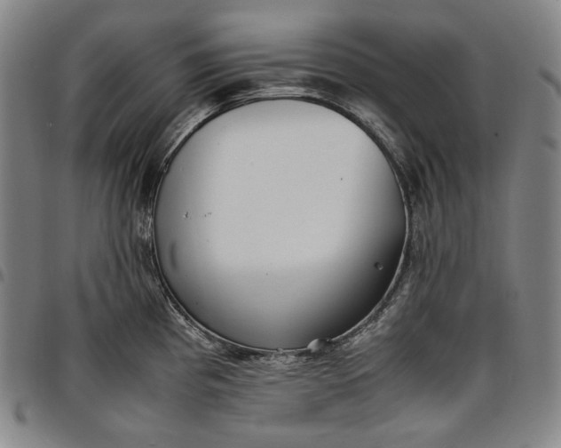 X0000096671193200802191323