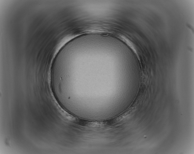 X0000096671195200802191323