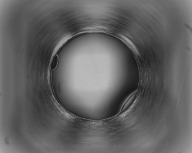 X0000096671196200802191323