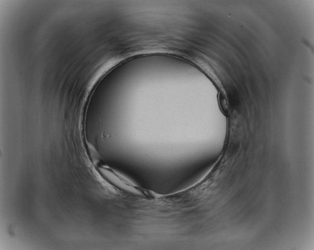 X0000096671197200802191323