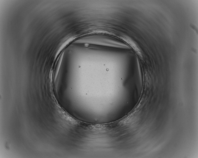 X0000096671198200802191323