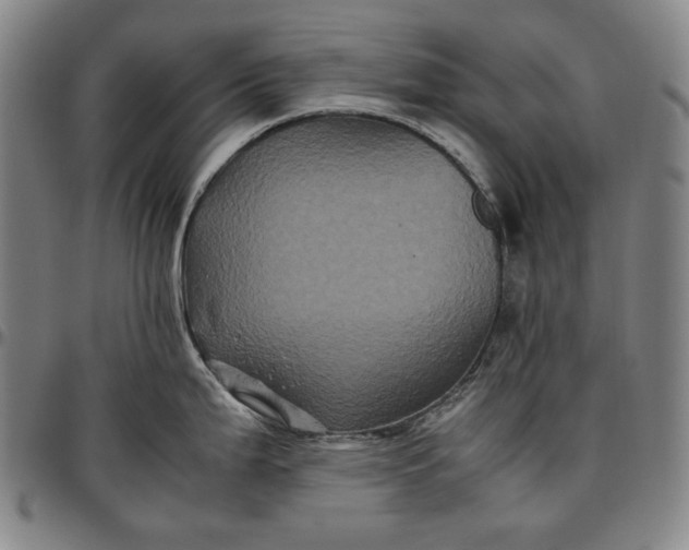 X0000096671199200802191323