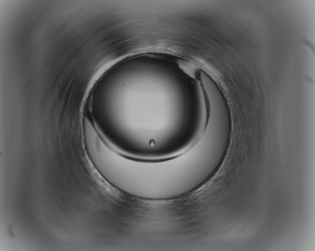 X0000096671200200802191323