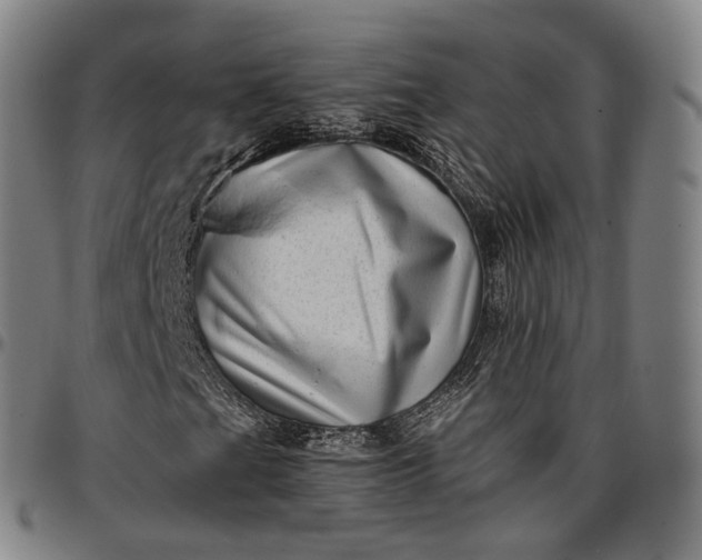 X0000096671201200802191322