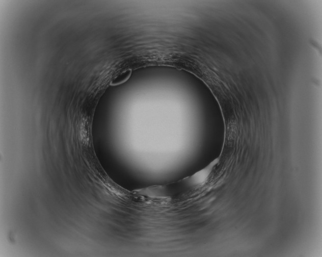 X0000096671202200802191322