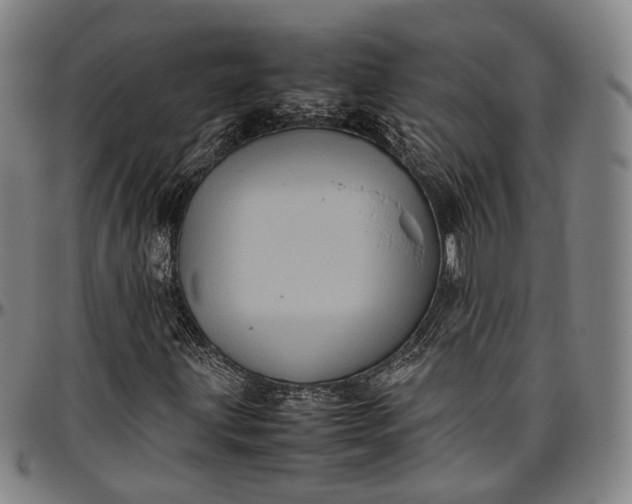 X0000096671203200802191322