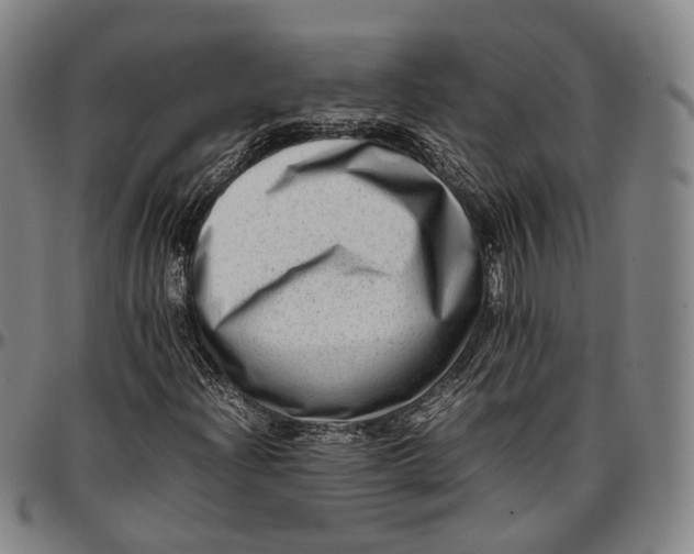 X0000096671204200802191322