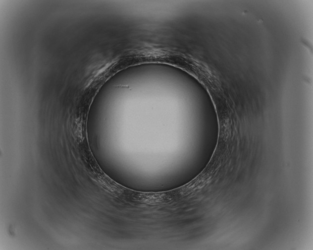 X0000096671205200802191322