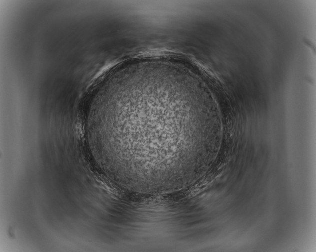 X0000096671206200802191322