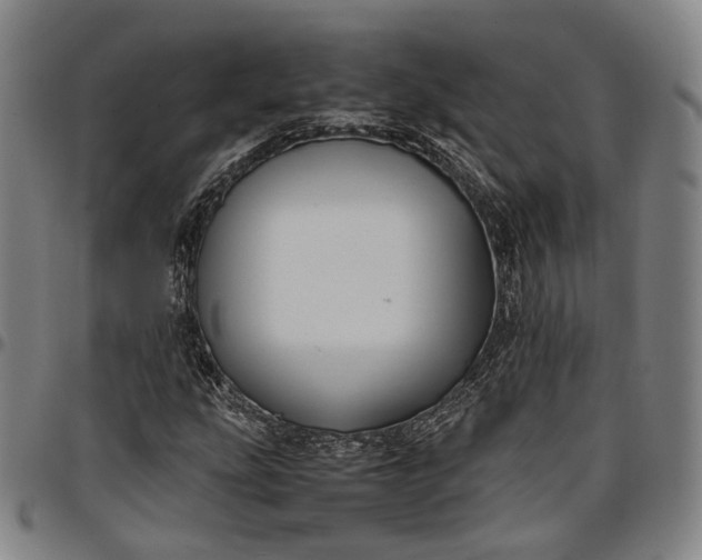 X0000096671207200802191322