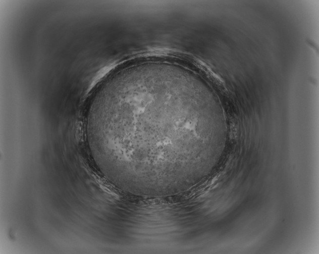 X0000096671208200802191322