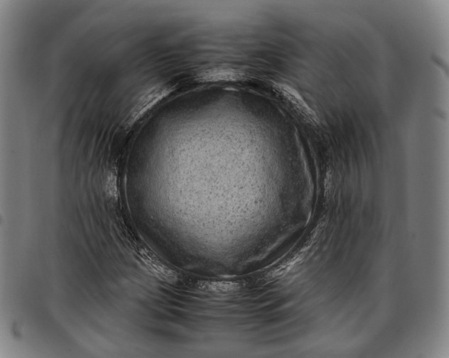 X0000096671209200802191322