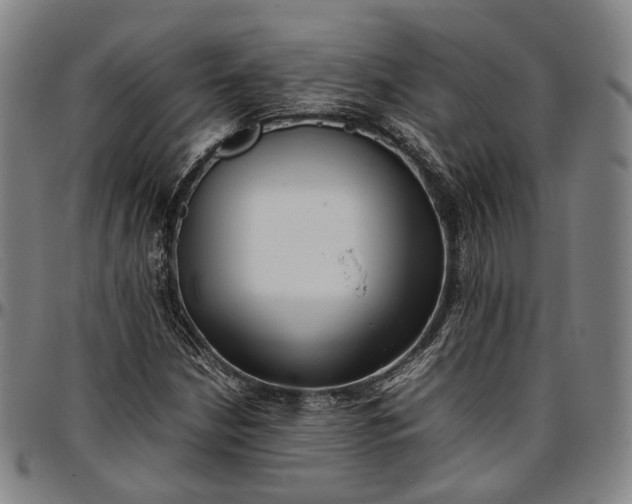 X0000096671210200802191322