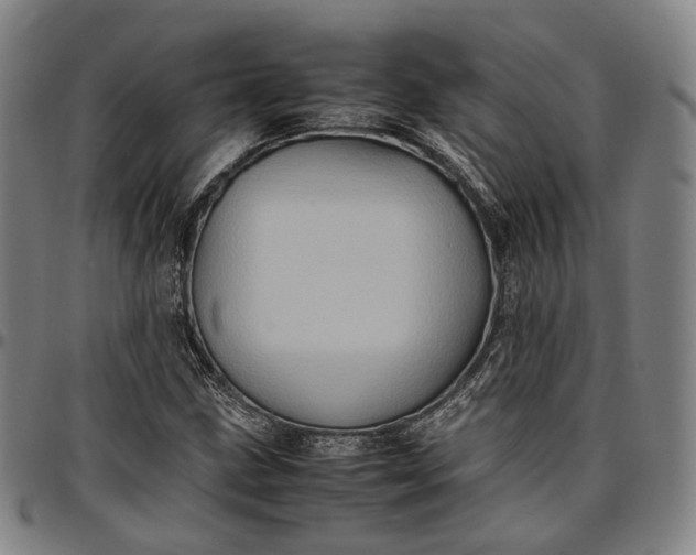 X0000096671211200802191322