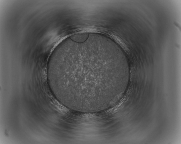 X0000096671212200802191322