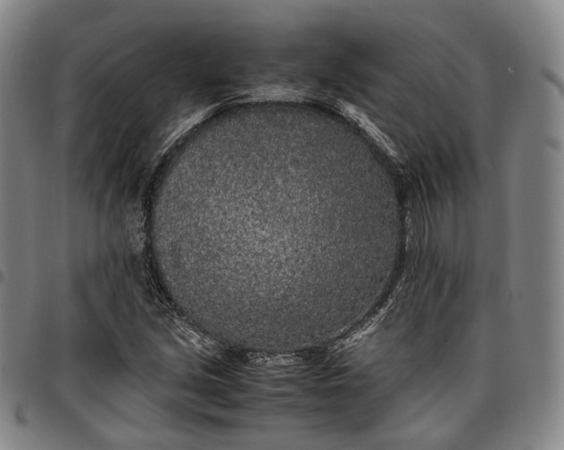 X0000096671213200802191322