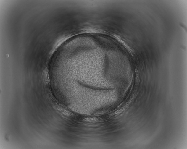 X0000096671215200802191322