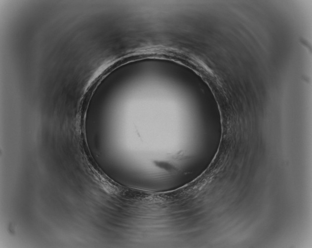 X0000096671216200802191322
