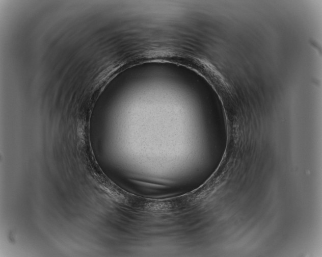 X0000096671217200802191322