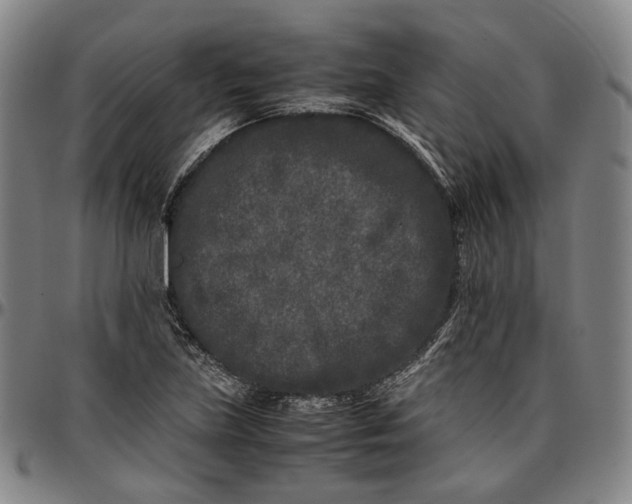 X0000096671219200802191322