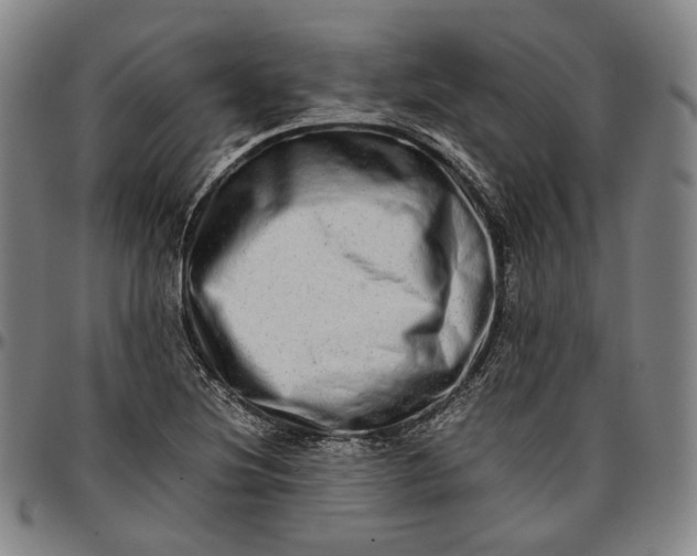 X0000096671220200802191322