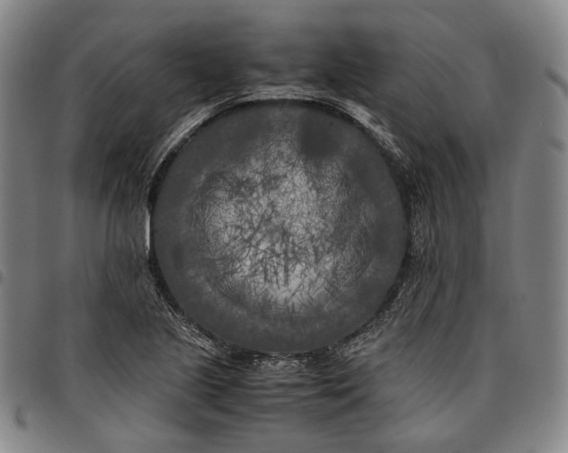 X0000096671221200802191322