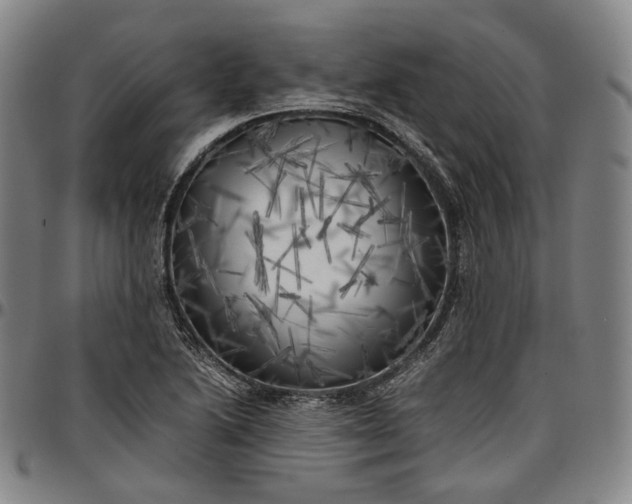 X0000096671222200802191322