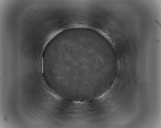 X0000096671223200802191322
