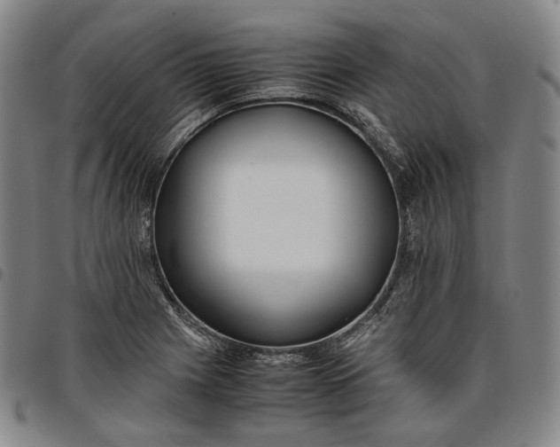 X0000096671225200802191322