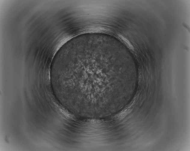 X0000096671226200802191322