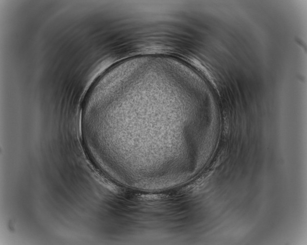 X0000096671227200802191322