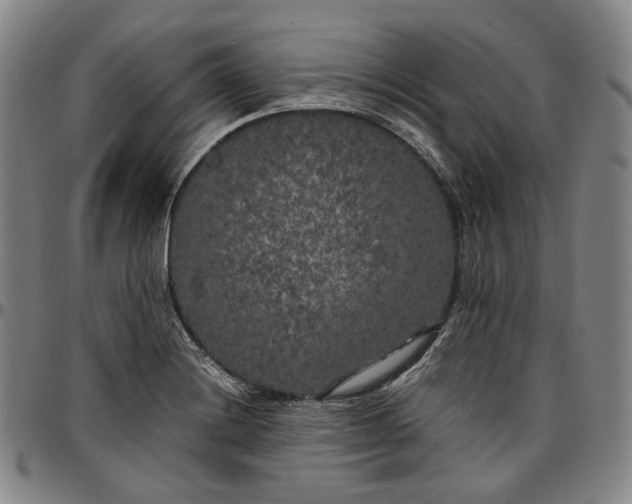 X0000096671228200802191322