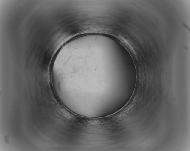 X0000096671230200802191322