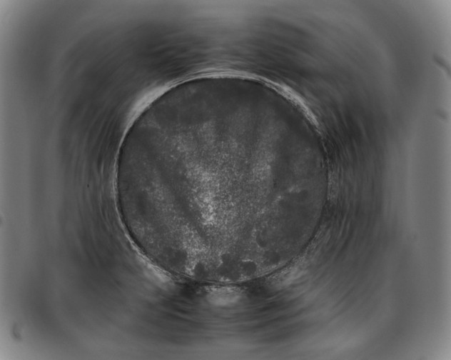 X0000096671231200802191322