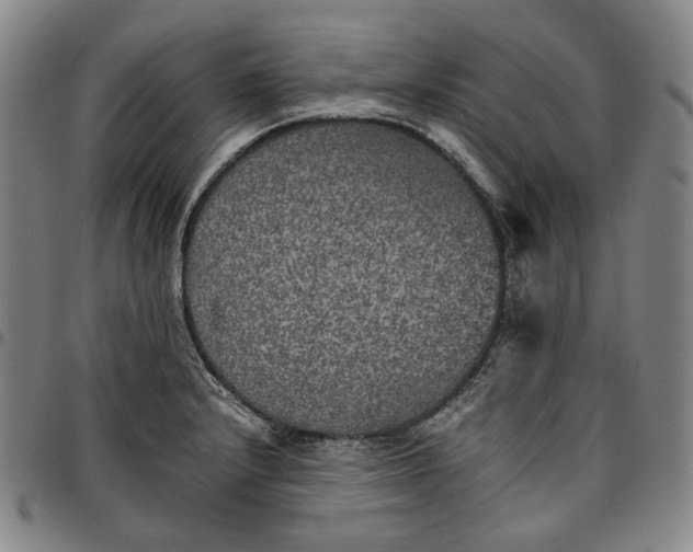 X0000096671232200802191322