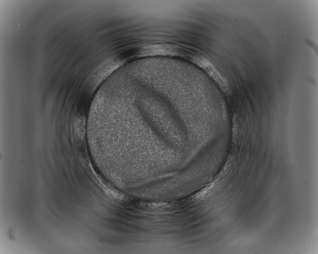 X0000096671233200802191322