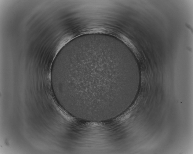 X0000096671234200802191322