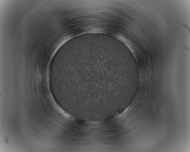 X0000096671235200802191322