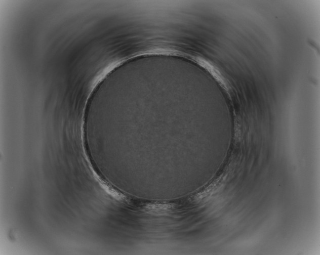 X0000096671237200802191322