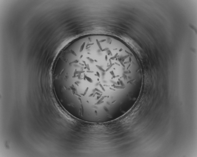 X0000096671238200802191322