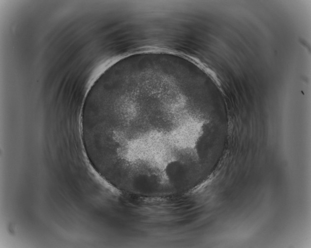 X0000096671239200802191322