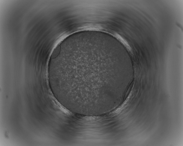 X0000096671240200802191322