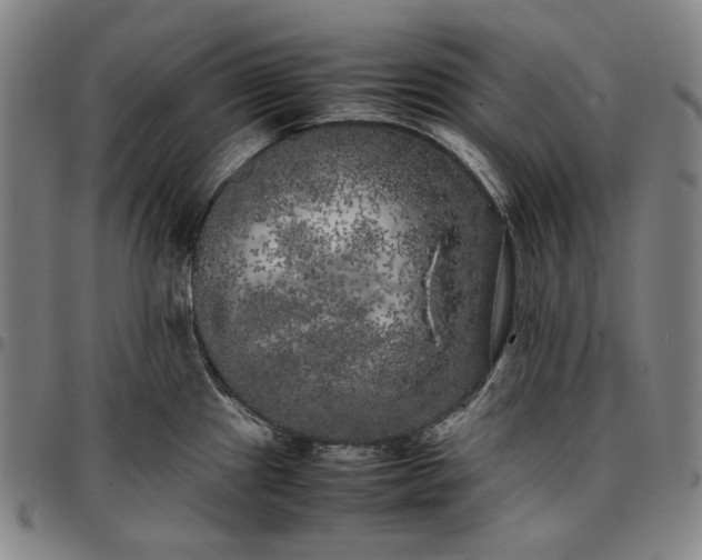 X0000096671241200802191322