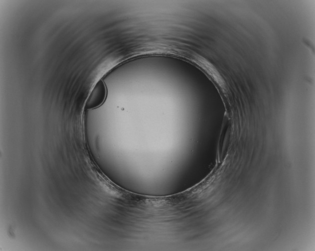 X0000096671242200802191322
