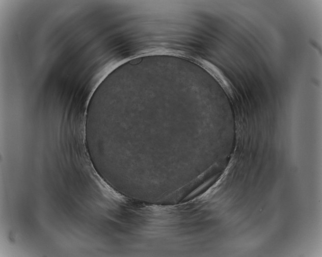 X0000096671244200802191322